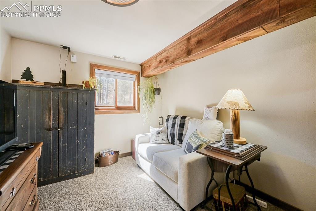 919 W Browning Avenue Woodland Park CO 80863
