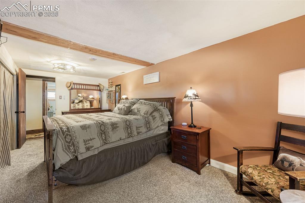 919 W Browning Avenue Woodland Park CO 80863