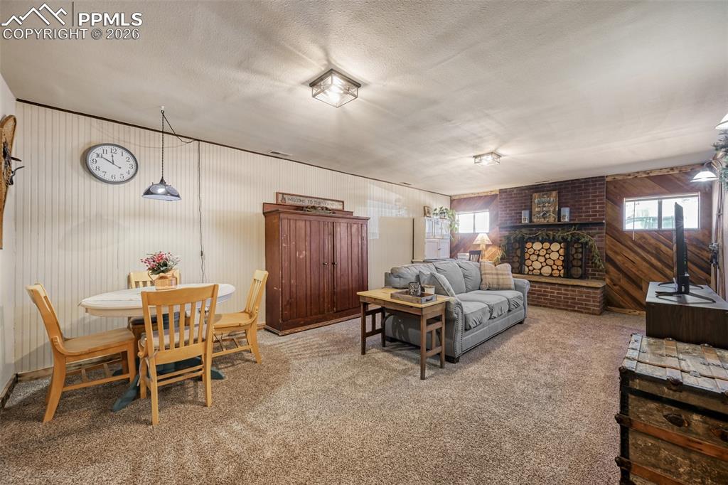 919 W Browning Avenue Woodland Park CO 80863
