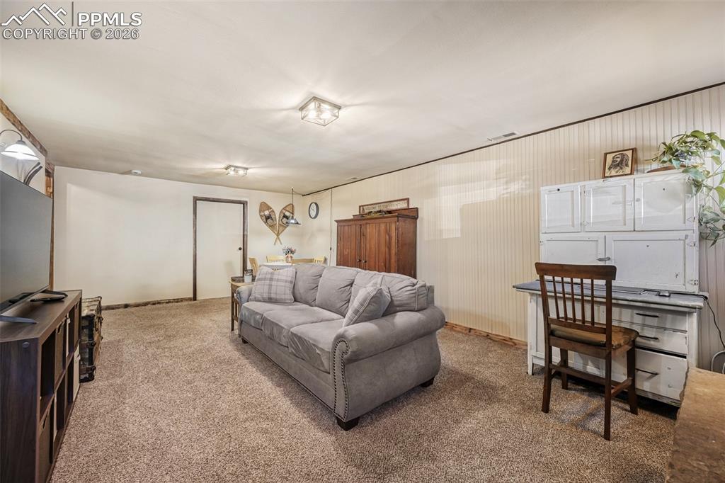 919 W Browning Avenue Woodland Park CO 80863