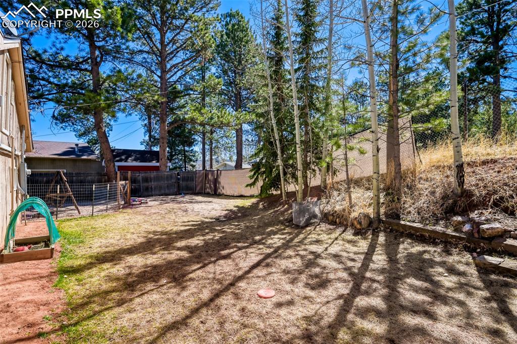 919 W Browning Avenue Woodland Park CO 80863