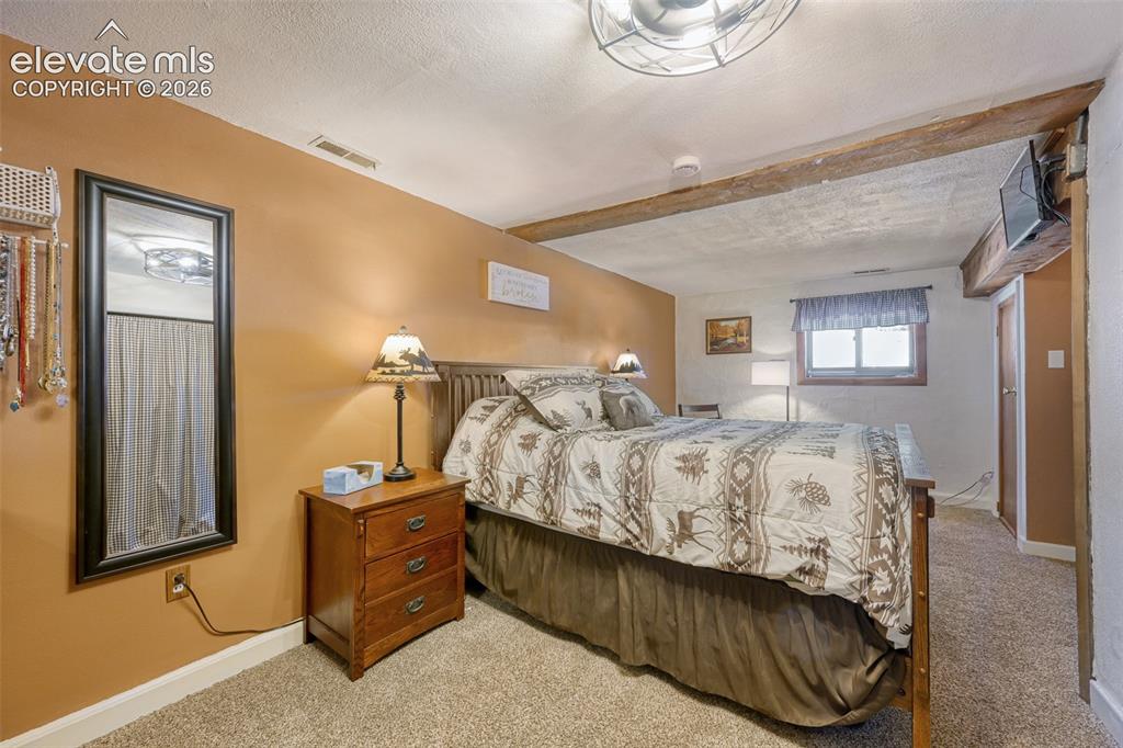 919 W Browning Avenue Woodland Park CO 80863