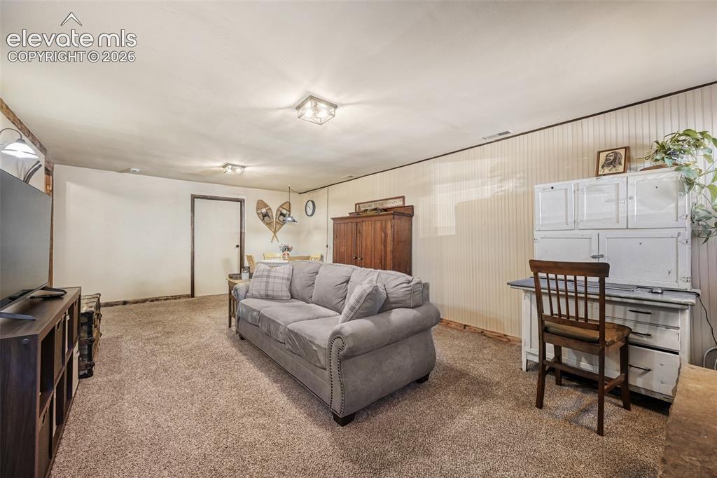 919 W Browning Avenue Woodland Park CO 80863