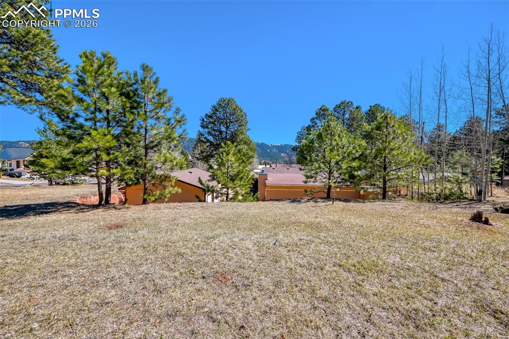 919 W Browning Avenue Woodland Park CO 80863