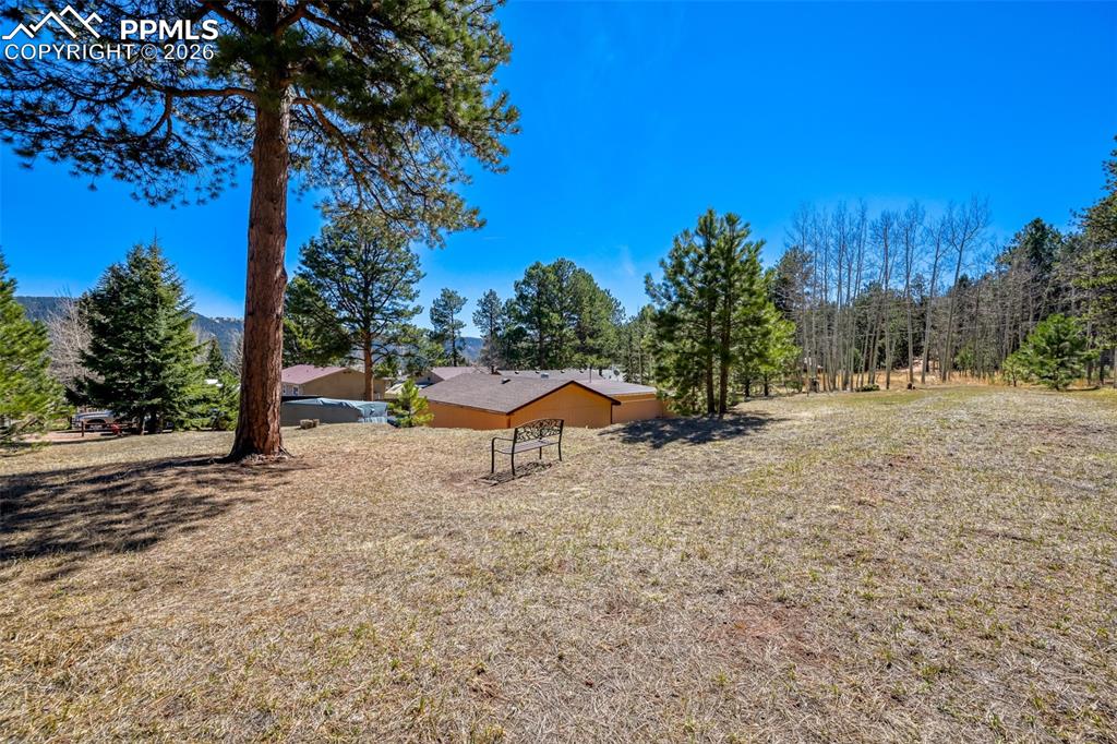 919 W Browning Avenue Woodland Park CO 80863