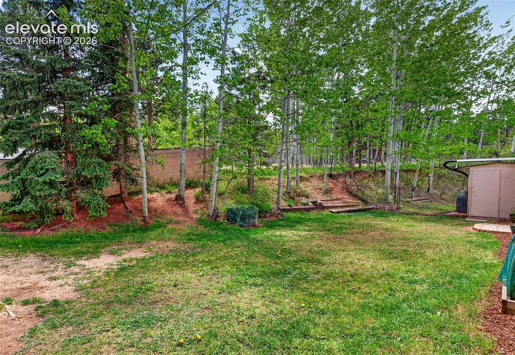 919 W Browning Avenue Woodland Park CO 80863