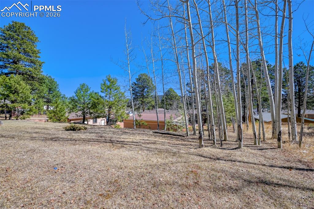 919 W Browning Avenue Woodland Park CO 80863