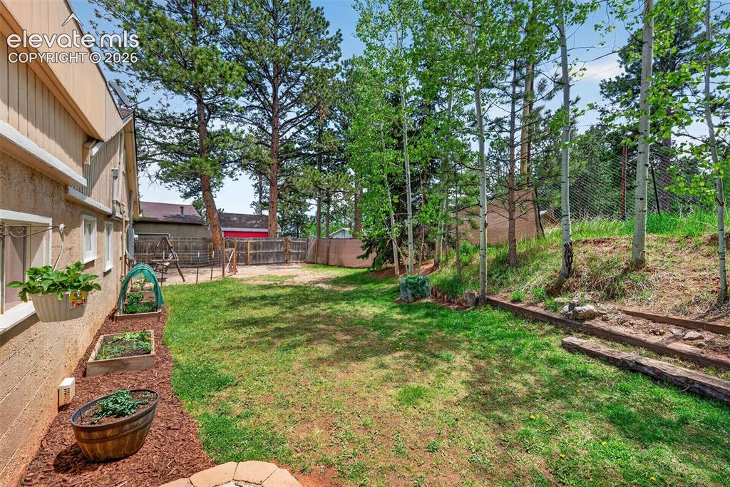 919 W Browning Avenue Woodland Park CO 80863
