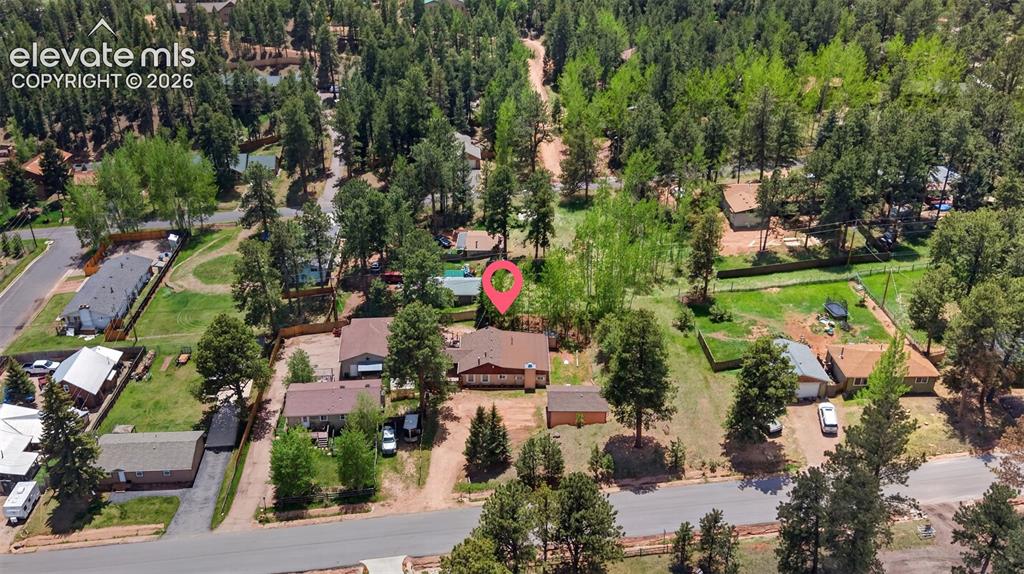 919 W Browning Avenue Woodland Park CO 80863