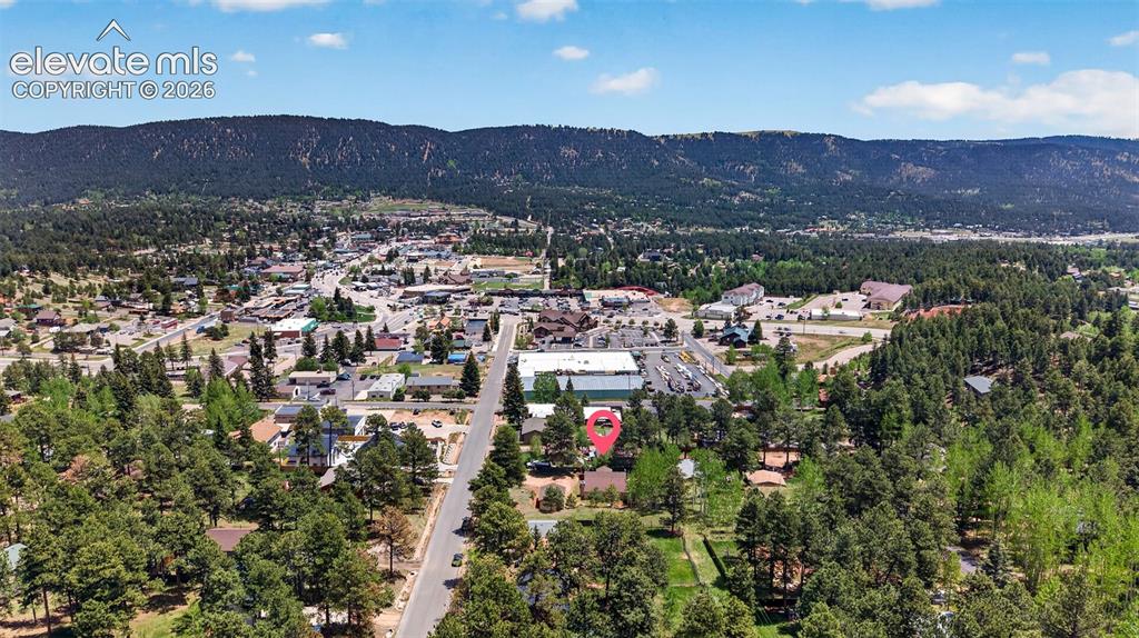 919 W Browning Avenue Woodland Park CO 80863