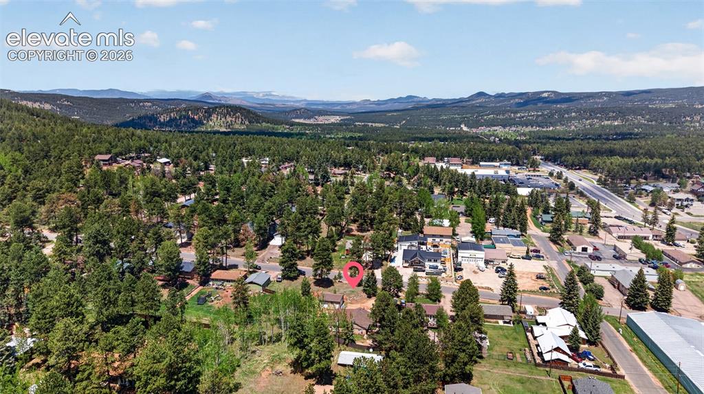 919 W Browning Avenue Woodland Park CO 80863