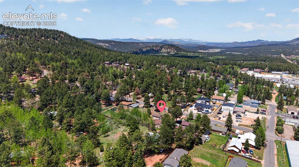 919 W Browning Avenue Woodland Park CO 80863