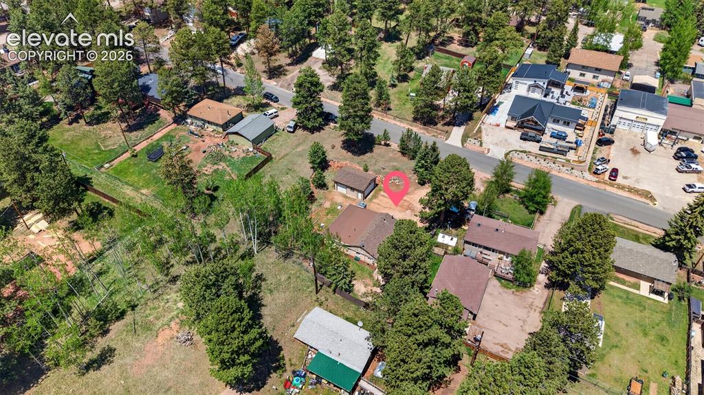 919 W Browning Avenue Woodland Park CO 80863