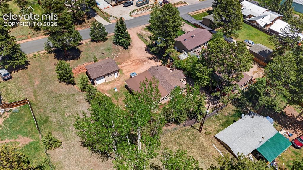 919 W Browning Avenue Woodland Park CO 80863
