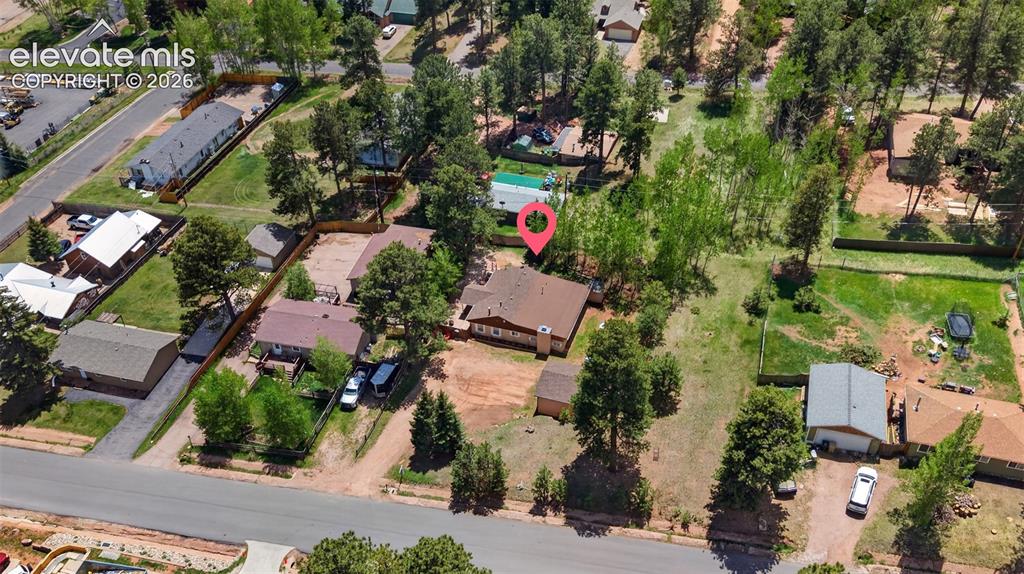 919 W Browning Avenue Woodland Park CO 80863