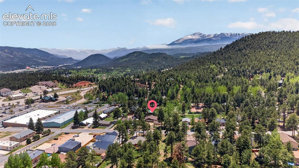 919 W Browning Avenue Woodland Park CO 80863