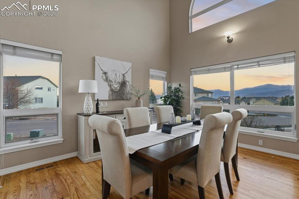 9918 Sully Court Colorado Springs CO 80920