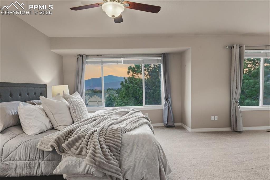 9918 Sully Court Colorado Springs CO 80920
