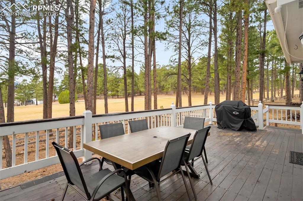 18520 Thunderbird Trail Monument CO 80132