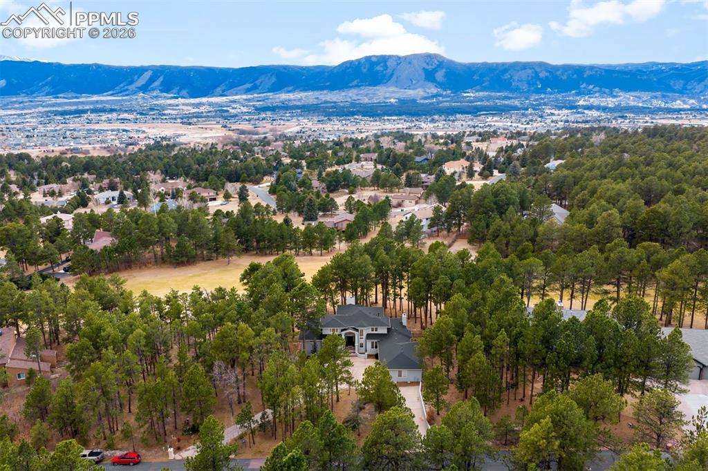18520 Thunderbird Trail Monument CO 80132