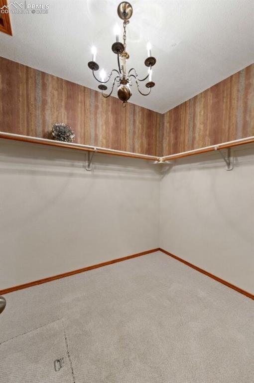 8360 Wranglers Way Colorado Springs CO 80908