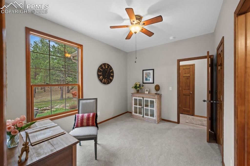 8360 Wranglers Way Colorado Springs CO 80908