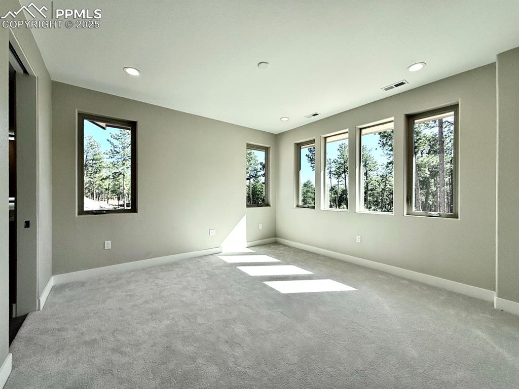 3145 Promise Point Colorado Springs CO 80921