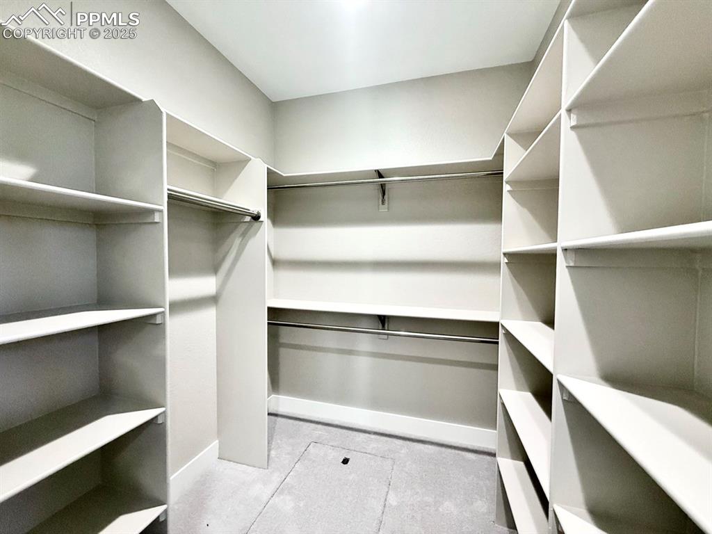 3145 Promise Point Colorado Springs CO 80921