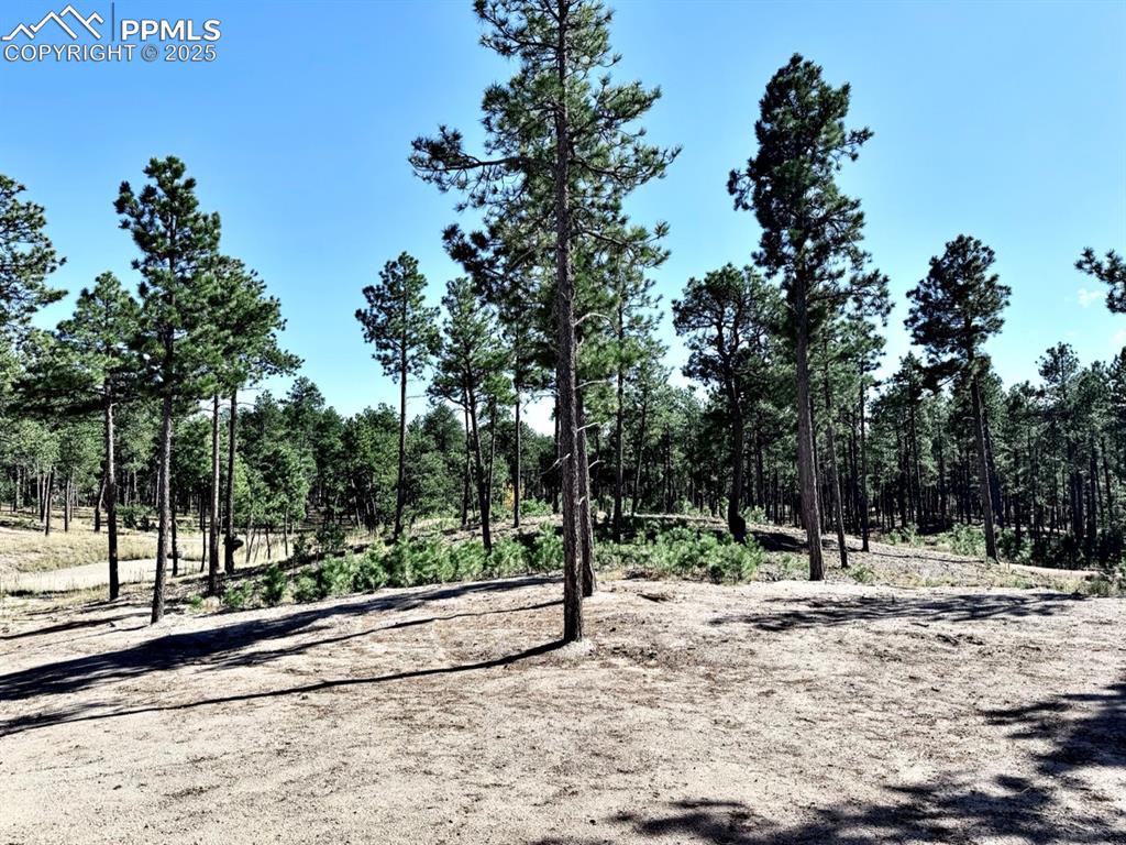 3145 Promise Point Colorado Springs CO 80921