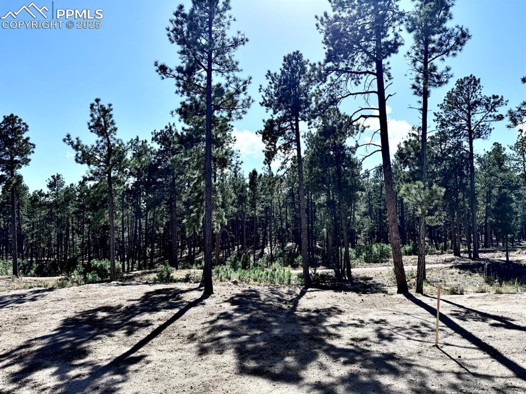 3145 Promise Point Colorado Springs CO 80921