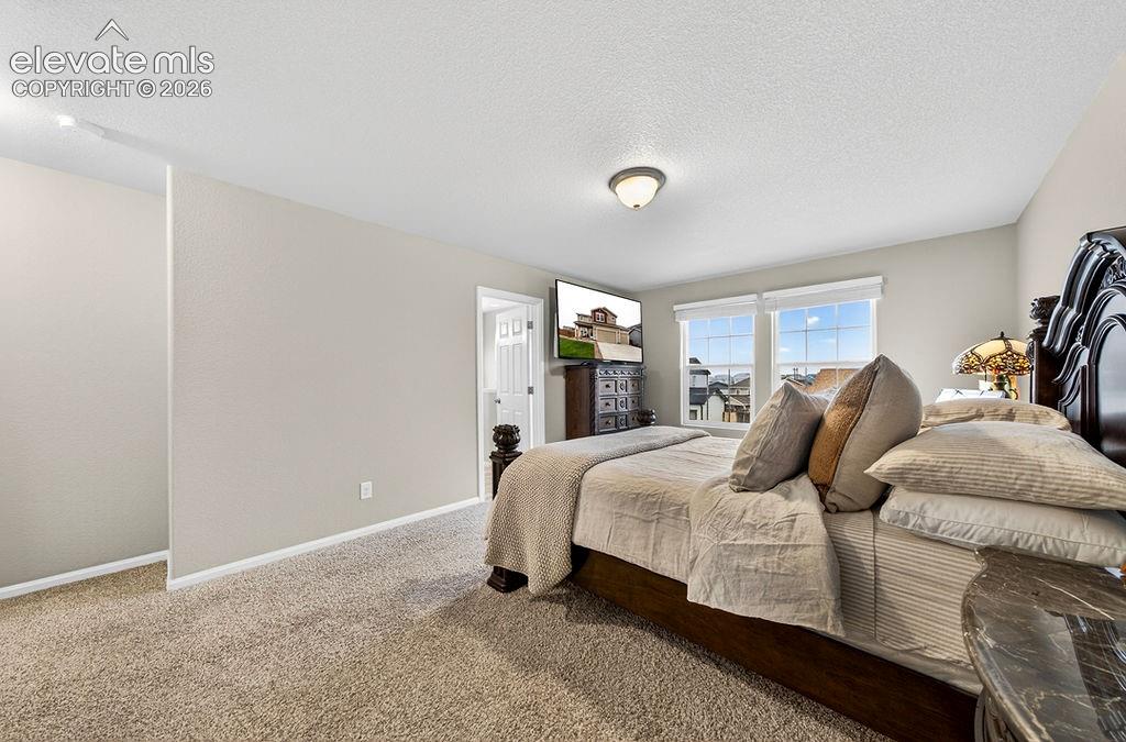 10087 Beckham Street Peyton CO 80831