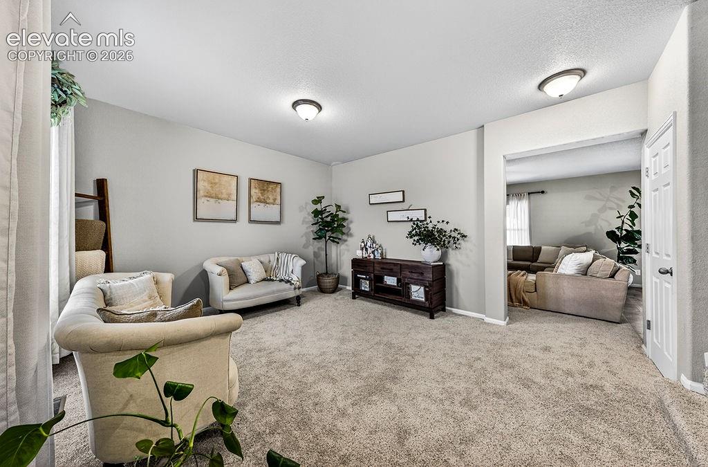 10087 Beckham Street Peyton CO 80831