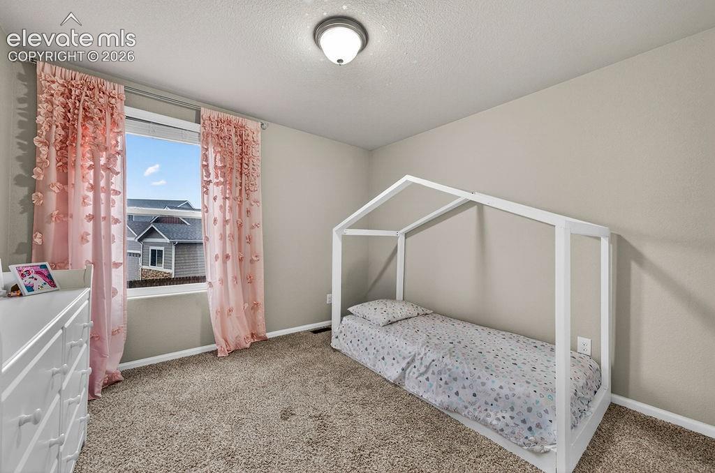 10087 Beckham Street Peyton CO 80831