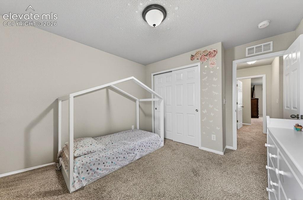 10087 Beckham Street Peyton CO 80831