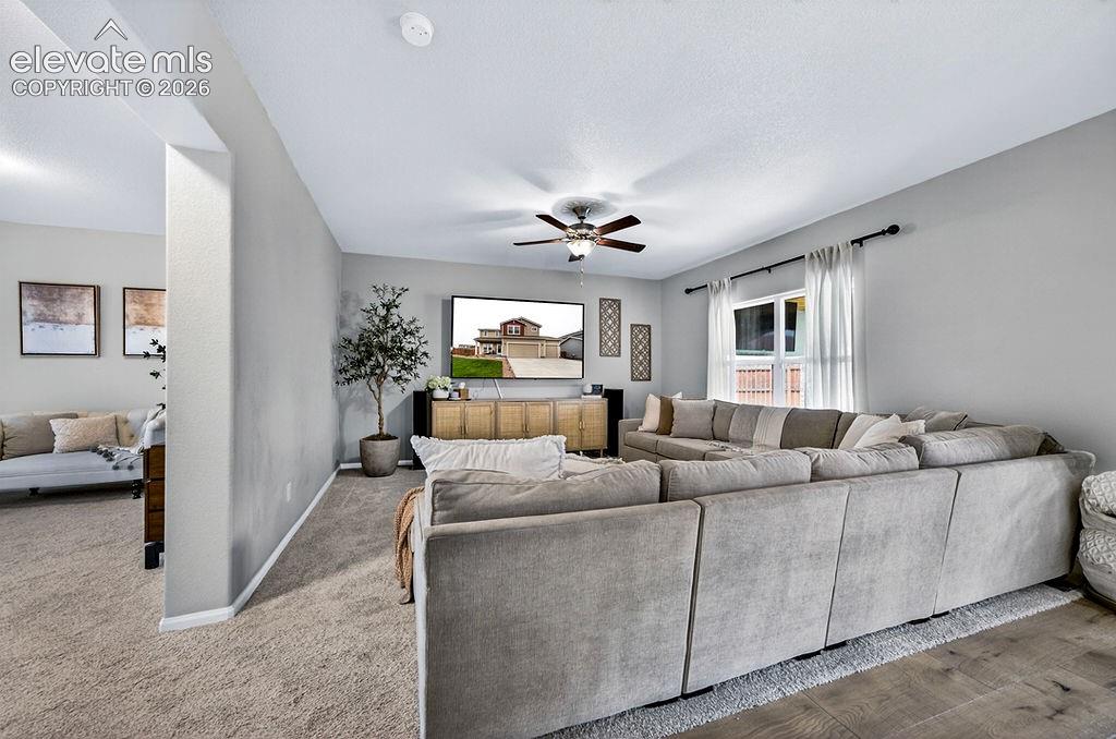 10087 Beckham Street Peyton CO 80831
