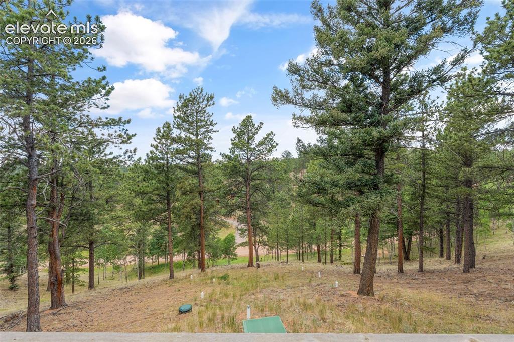 319 Maroon Lake Circle Divide CO 80814