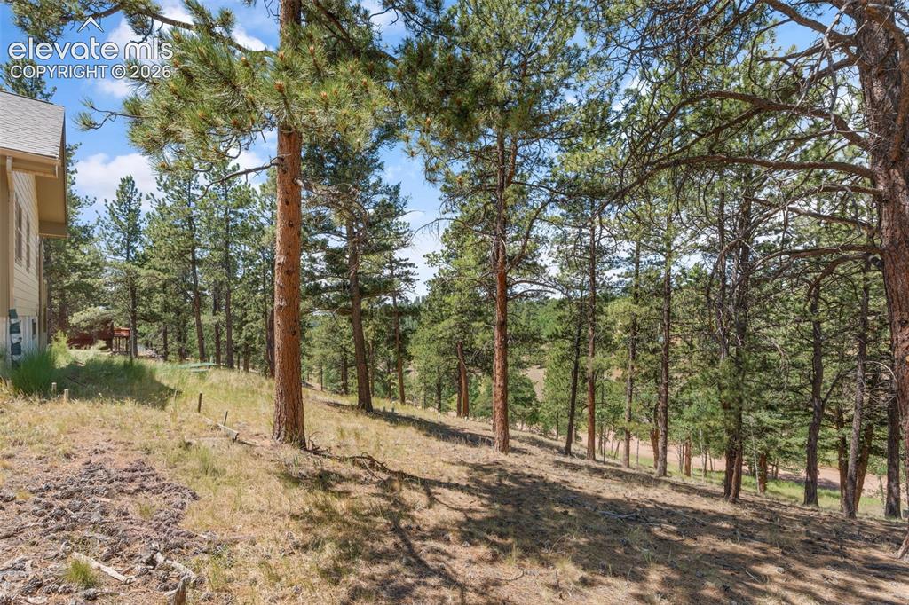 319 Maroon Lake Circle Divide CO 80814