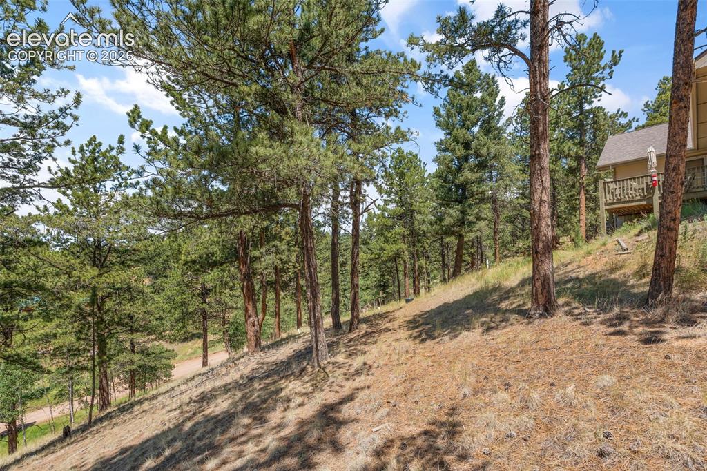319 Maroon Lake Circle Divide CO 80814