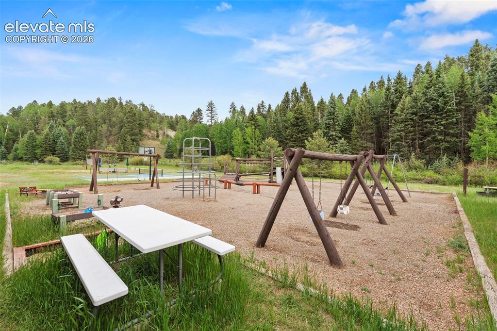 319 Maroon Lake Circle Divide CO 80814