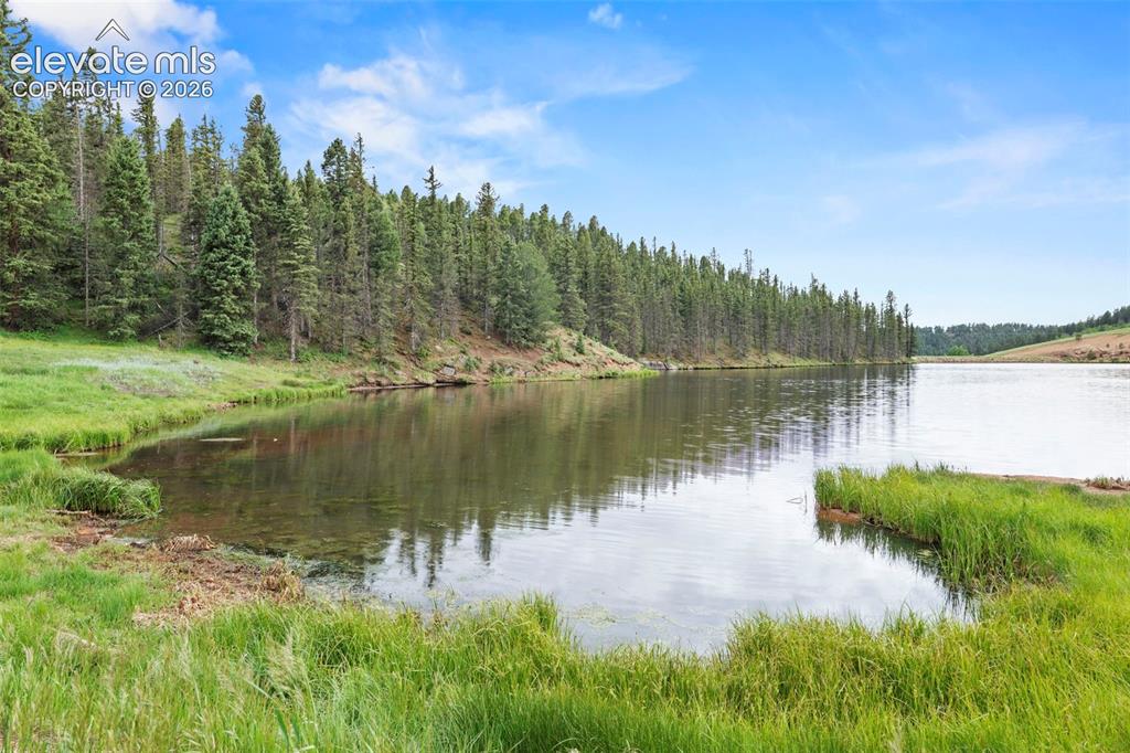 319 Maroon Lake Circle Divide CO 80814