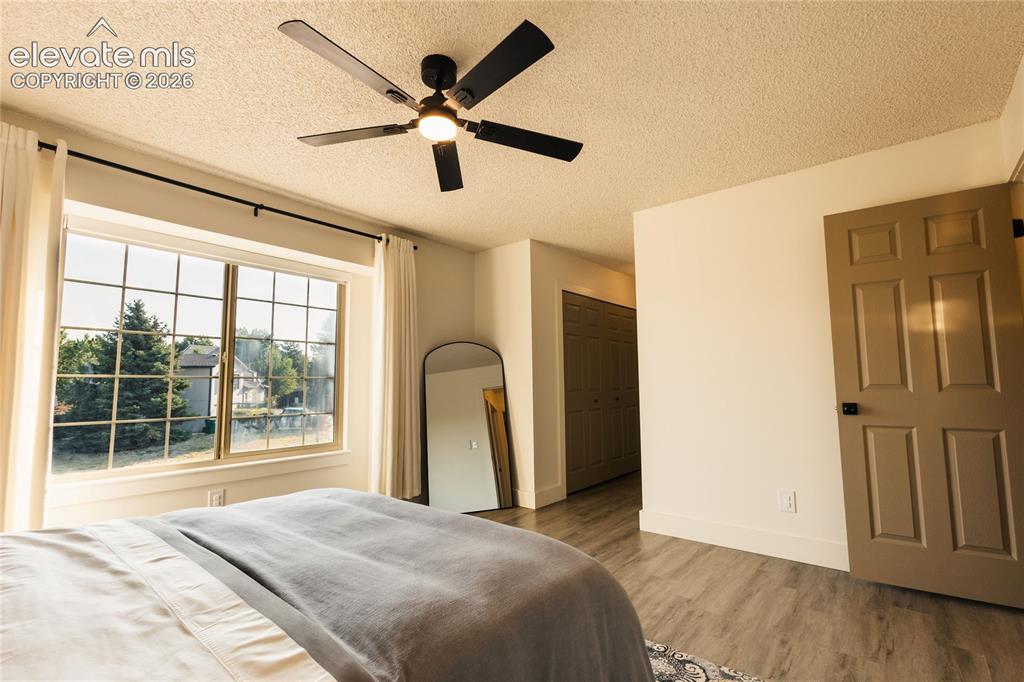 2160 Ambleside Drive Colorado Springs CO 80915