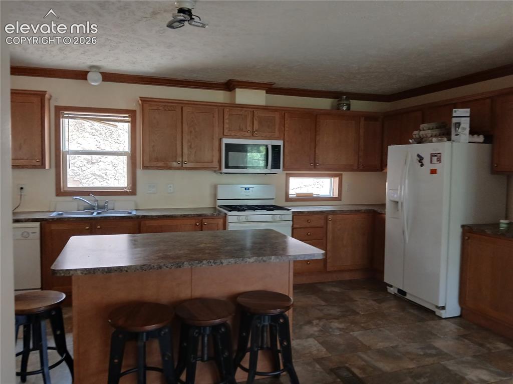 2272 County Road 1 Cripple Creek CO 80813