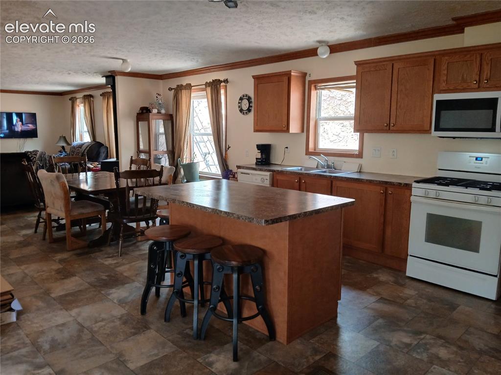 2272 County Road 1 Cripple Creek CO 80813