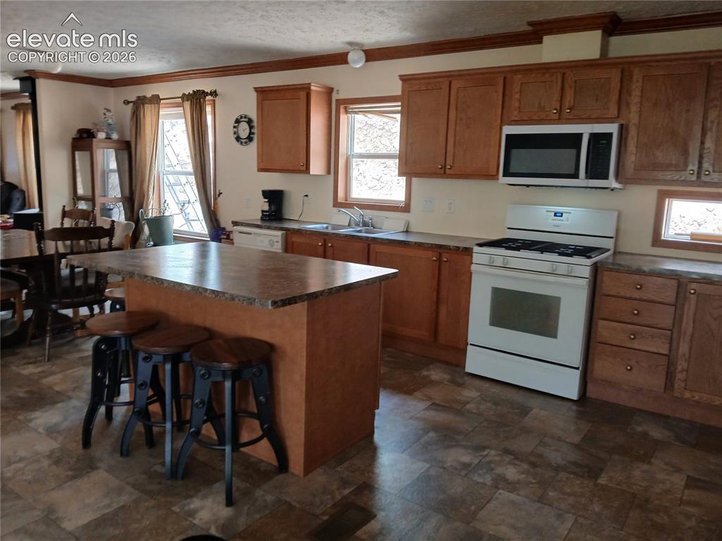 2272 County Road 1 Cripple Creek CO 80813