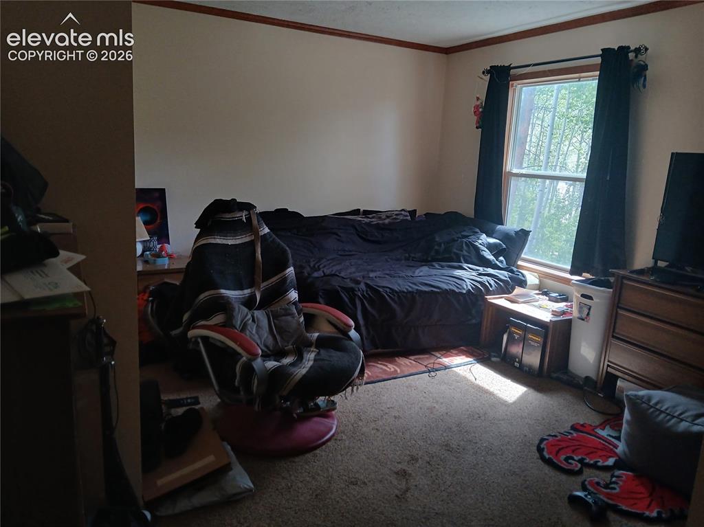 2272 County Road 1 Cripple Creek CO 80813