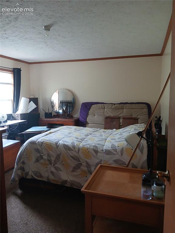 2272 County Road 1 Cripple Creek CO 80813