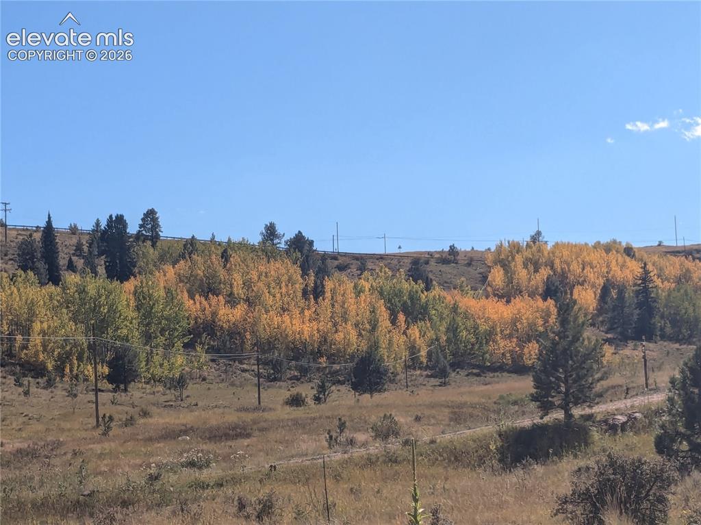 2272 County Road 1 Cripple Creek CO 80813