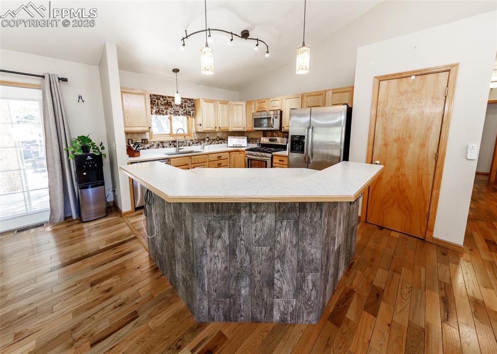 2873 Sunnywood Avenue Woodland Park CO 80863