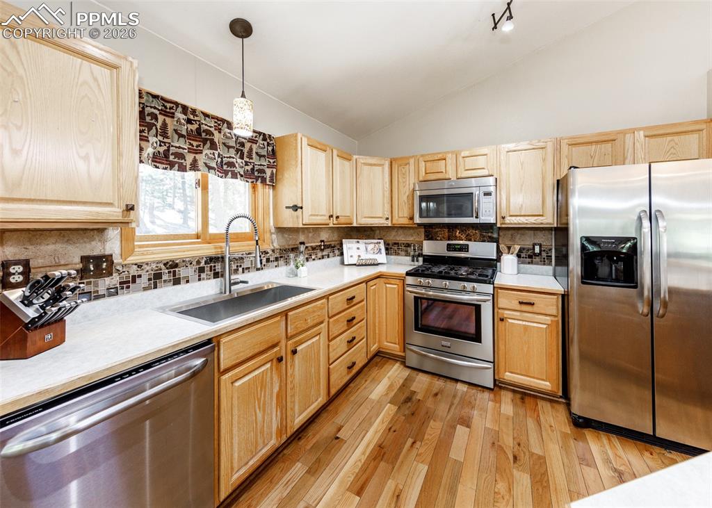 2873 Sunnywood Avenue Woodland Park CO 80863