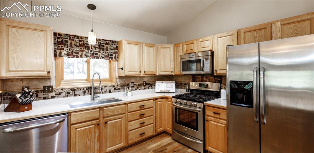 2873 Sunnywood Avenue Woodland Park CO 80863